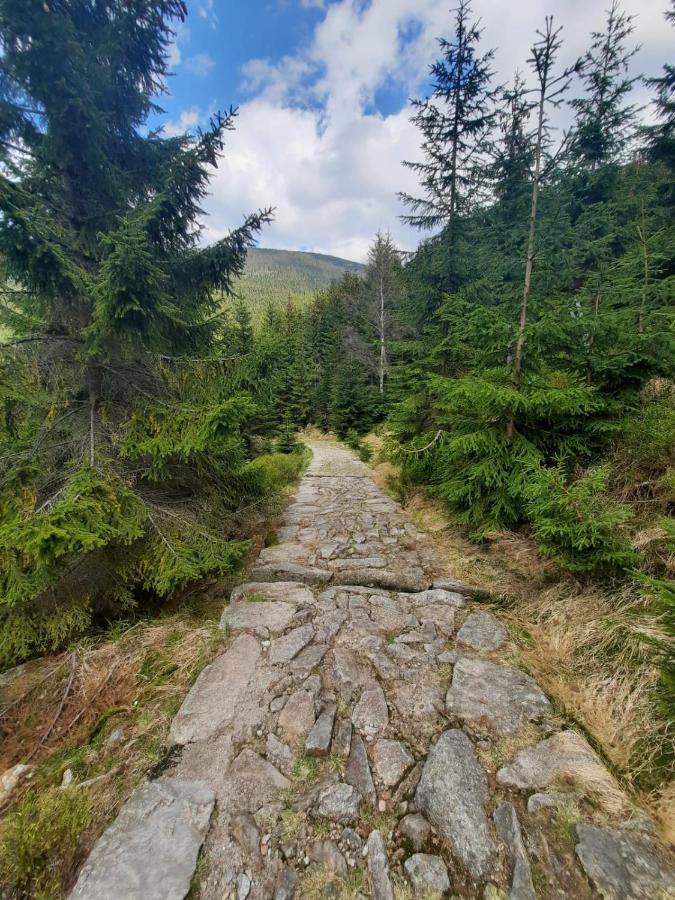 Villa Harta Vrchlabí Dış mekan fotoğraf